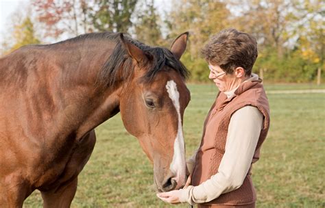 The Connection between Equine Visage Dreams and Personal Growth