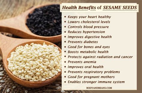 The Countless Health Benefits of Ivory Sesame Seeds