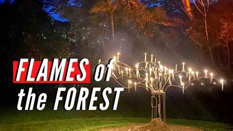 The Cultural Importance of Flames and Forests