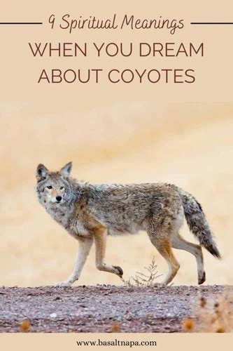 The Cultural Significance of Coyotes in Dream Interpretation