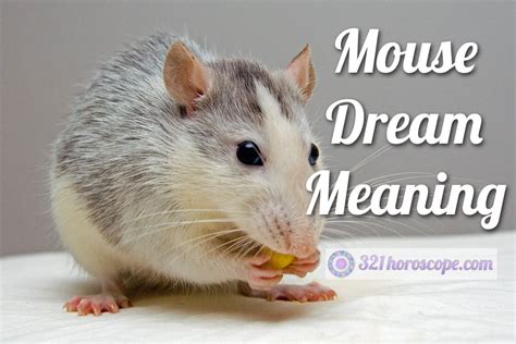 The Cultural Significance of Mouse Dreams