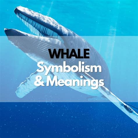 The Cultural Significance of Whales: Legends, Myths, and Symbolism throughout History