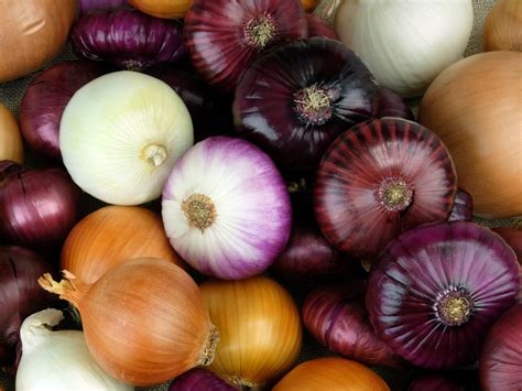 The Deep Meaning Behind White Onions Across Different Cultures