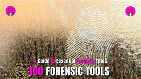 The Detective's Arsenal: Essential Skills for Apprehending Offenders