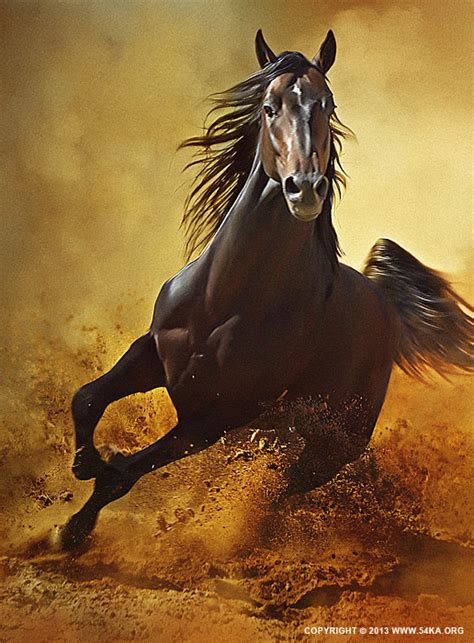 The Dynamic Essence of the Galloping Equine