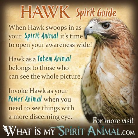 The Emotional Impact of Dreaming about a Baby Hawk: Understanding Your Inner Self