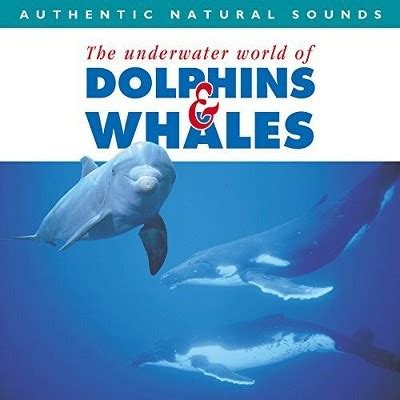 The Enchanting Melodies: Captivating Songs and Sounds of Dolphins and Whales