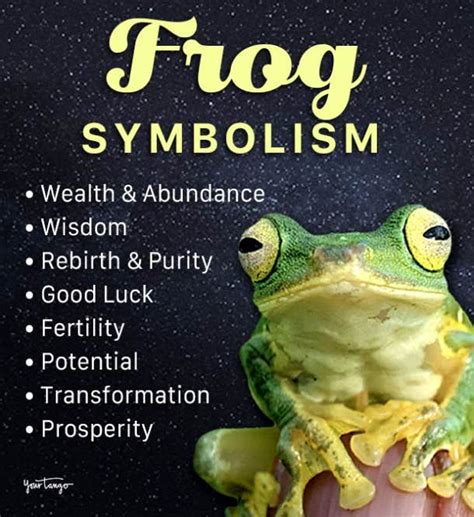 The Enchanting Realm of Frog Symbolism