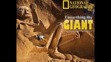 The Enchanting World of Ancient Giants