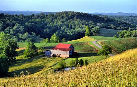 The Enchantment of Countryside Living: A Longing Shared by Many