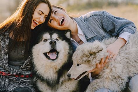 The Enchantment of Developing a Deep Connection with Your Furry Companion: Nurturing an Everlasting Bond