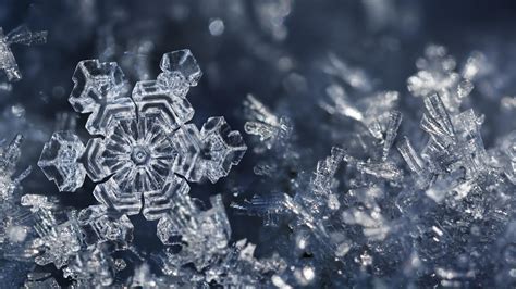 The Enchantment of Snow Crystals: Exploring the Intricacy of Nature's Magnificent Creations