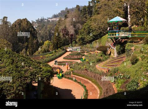 The Enchantment of Terraces: An Elevated Viewpoint