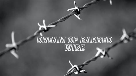 The Enchantment with Barb Wire in Dreams