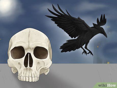 The Enigma of Embracing a Crow: Exploring the Symbolic Interpretations