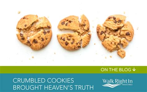 The Enigma of Shattered Cookies in Reveries