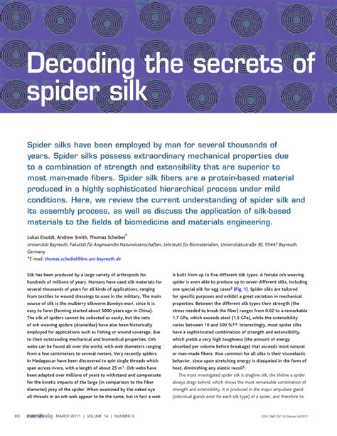 The Enigmatic Marvel: Decoding the Enigma of Spider Silk