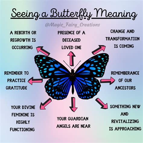 The Enigmatic Meanings behind the Captivating Butterflies