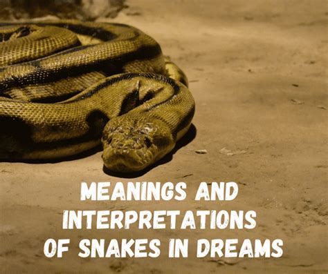 The Enigmatic Serpent in Dreams: Decoding its Veiled Interpretations