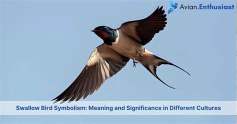 The Enigmatic Symbolism of the Visually Impaired Avian Imagery in Various Cultures: A Comparative Study