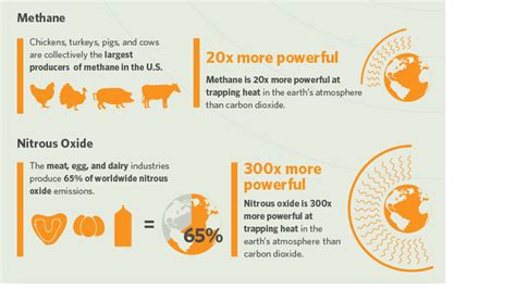 The Environmental Impact: How Plant-Based Diets Can Help Safeguard our Planet