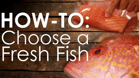 The Essence of Choosing Fresh Fish