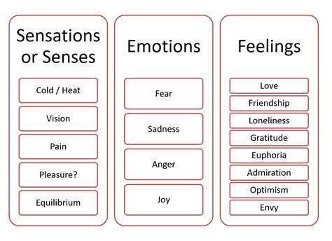 The Essence of Emotions: The Connection Between the Sensation of Fluttering Sensations in the Abdomen and Feelings