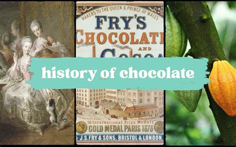 The Evolution and Heritage of Cocoa