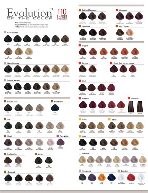 The Evolution of Color: How Hair Dye Has Transformed Over the Years