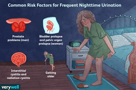 The Fascinating Phenomenon of Excessive Urination in Dreamscapes