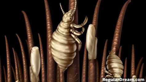 The Fascinating Phenomenon of Lice Dreams