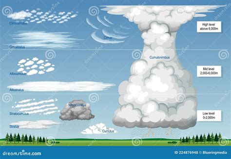 The Fascinating Physique and Elevation of Viivi Clouds