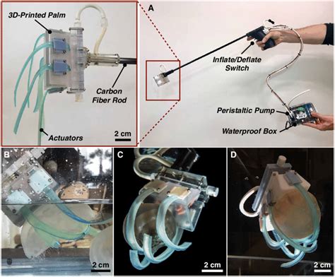 The Fascinating Reverie: Grasping a Explosive Device