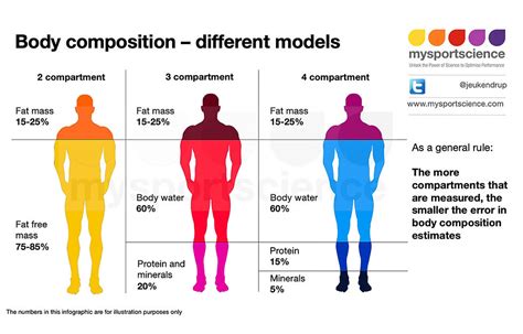 The Fashionista's Body Composition