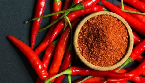 The Fiery Journey: Unveiling the Spicy Origins of Red Chili