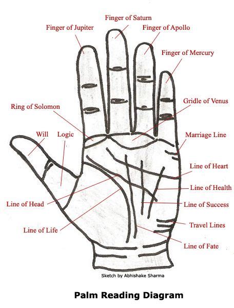 The Five Essential Lines: Unveiling the Secrets within Your Palms