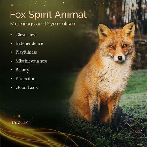 The Fox as a Symbolic Animal