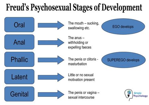 The Freudian Perspective: Unraveling Desires and Frustrations of a Sexual Nature