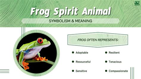 The Frog as an Empowering Spirit Animal