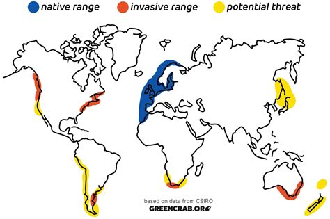 The Global Voyage of the Green Crab: Its Spread Around the World