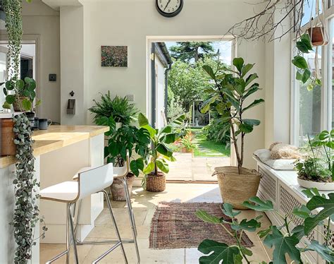 The Growing Influence: How Plants are Shaping Interior Design