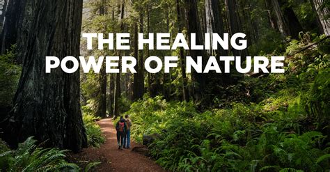 The Healing Power of Nature's Therapy