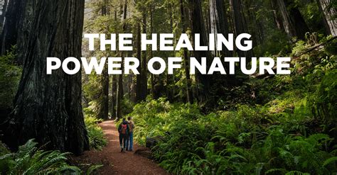 The Healing Power of Nature: Seeking Comfort in the Great Outdoors