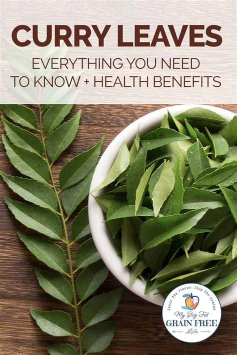 The Health Advantages of Curry Leaves: Enhancing Immune System and Digestive Function