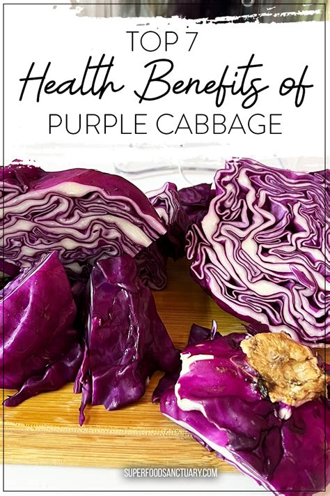 The Health Benefits of Cabbage: A Superfood for All