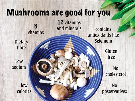 The Health Benefits of Including Mushrooms in Your Diet