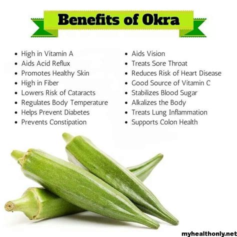 The Health Benefits of Verdant Okra