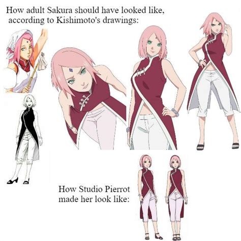 The Height and Body Measurements of Sakura