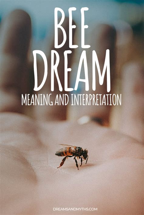 The Hidden Meaning Behind a Bee's Dream