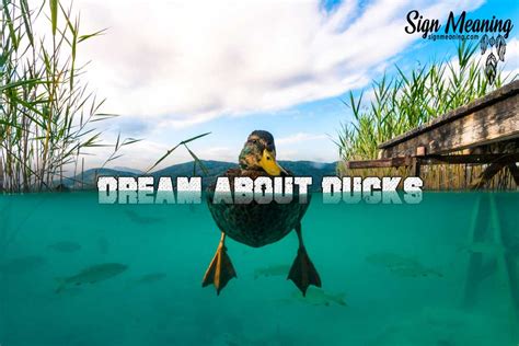 The Hidden Significance: Deciphering the Symbolic Language of Dreaming Ducks